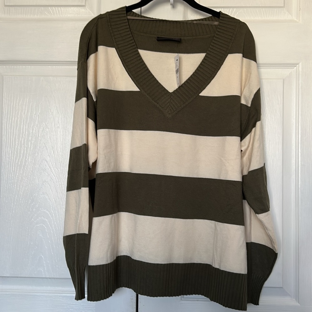 NWT Lane Bryant Striped V neck Sweater